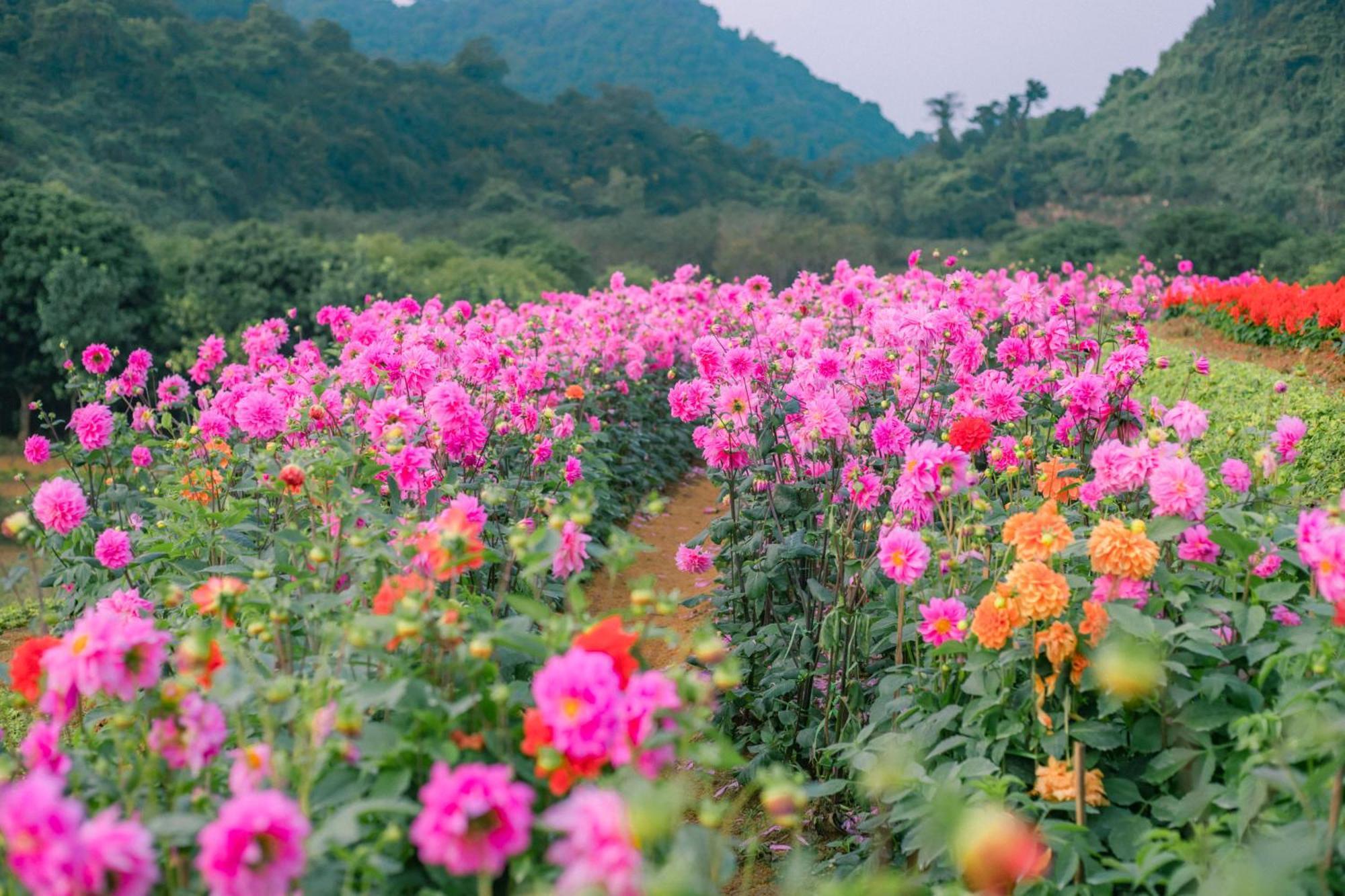 Thung Nham Resort Нин Бин Екстериор снимка