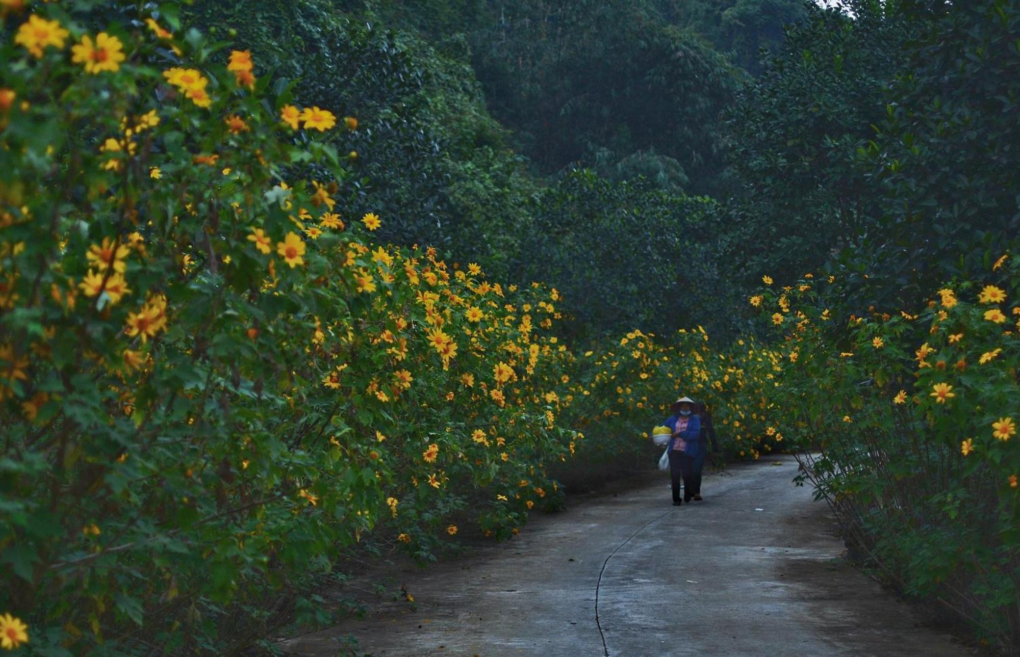Thung Nham Resort Нин Бин Екстериор снимка