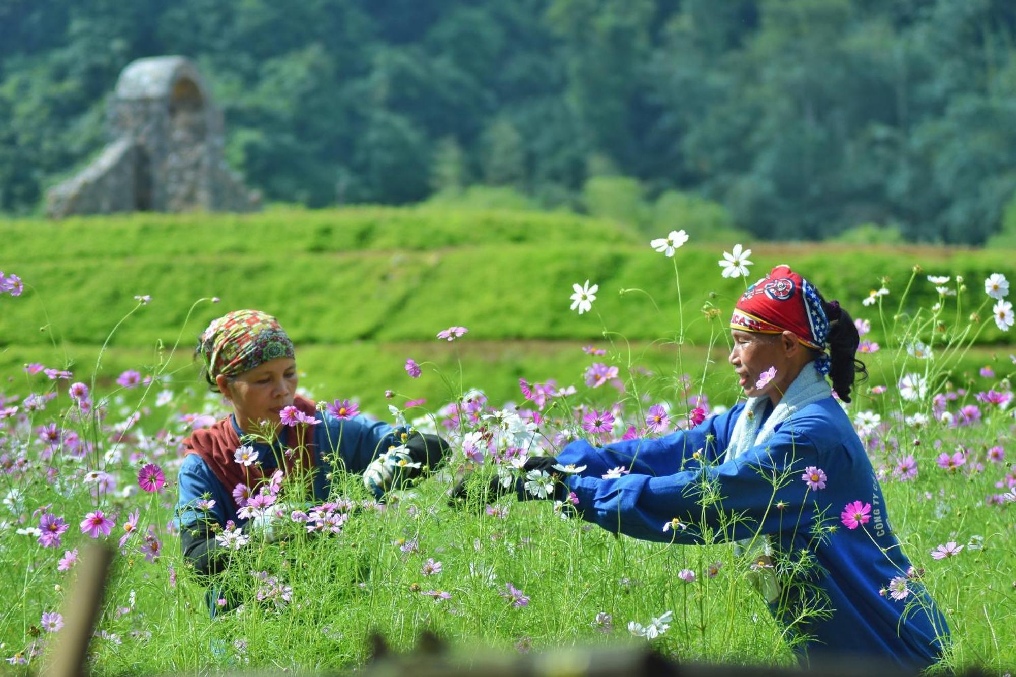 Thung Nham Resort Нин Бин Екстериор снимка
